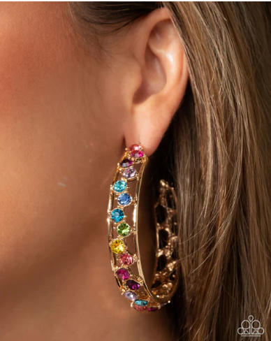Scattered Sophistication - Multi ♥ Earrings